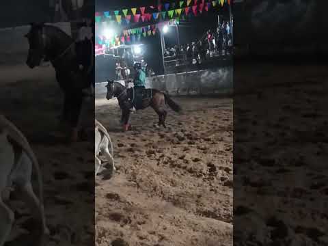 #COLEO PORE CASANARE #COLEO#manga #caballos #COPA#torosdecorro