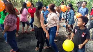 Download lagu Anjing kacili πΆ mp3 Download lagu Anjing kacili πΆ mp3