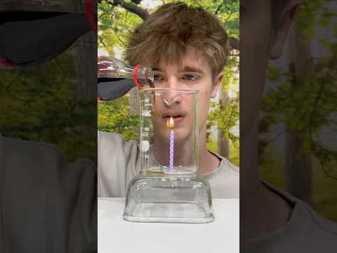 Testing the Worlds Dumbest Science Experiments…