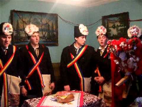 TURCA  SINCA NOUA 2011