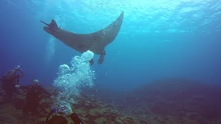 Scuba Diving in Japan | Ishigaki Island