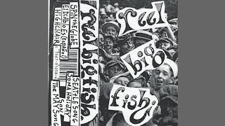 Reel Big Fish In The Good Old Day Full demo Album 1992