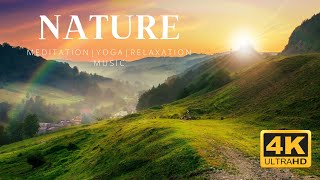 Nature Meditation Music • Relaxing Sleep Music • Zen Music, Ambient, Stress Relief, Yoga