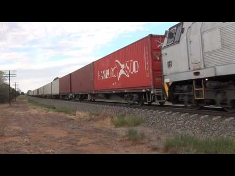 Danish MZs work the Qube harefield Train out of Junee #3317