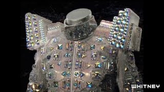 2012 Biennial: Michael Robinson