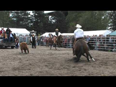 Pferd International Muenchen Riem - die Pferdemesse in Bayern - Trailer