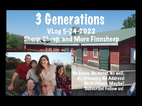 VLog 5-24-2022 Sheep, Sheep, and More Finnsheep!