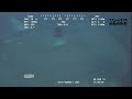 Strange Looking Creature Captured Transforming On Camera At 3700 Feet In The Indian Ocean