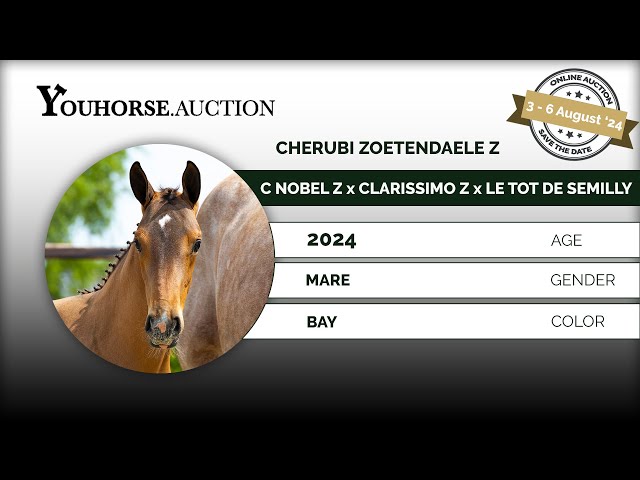 Cherubi Zoetendaele Z