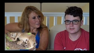 Brad & Les REACT TO A LION GIVING BIRTH | Don’t miss this!