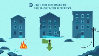 When the Earth Shakes: Earthquake Survival