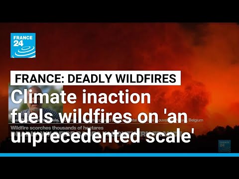 Failing to tackle climate change will mean more wildfires ahead