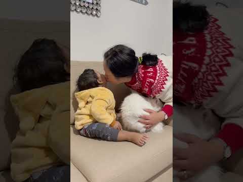 Baby loves cat with neighbour#baby