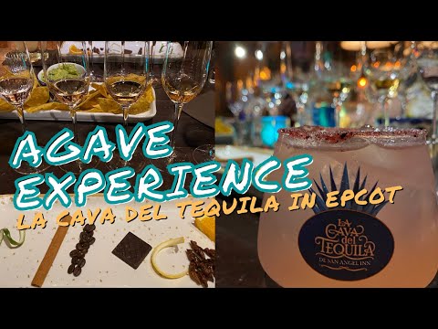 image-How much is the agave experience at Epcot?