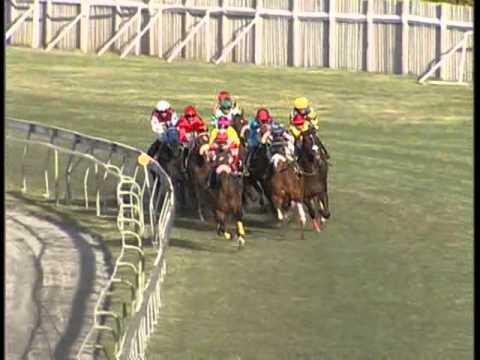 14th meeting race 148.avi