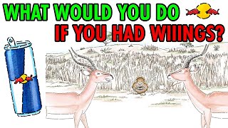 [問卦] Red Bull的廣告484很靠北