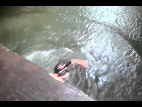 Aquila mein bro voll crazy