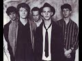 Camper Van Beethoven - "Never Go Back" : BBC Radio 1 Janice Long Session / March 15th 1987 /