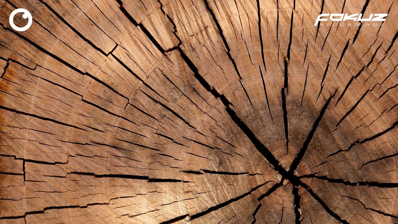 Surreal feat. Salem Focus - What's Good