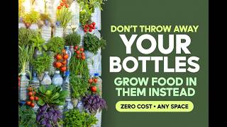 Stop Throwing Away Plastic Bottles — Use Them to Grow Food