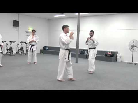 Saifa Kumite Drill 1: Toe-to-side combat