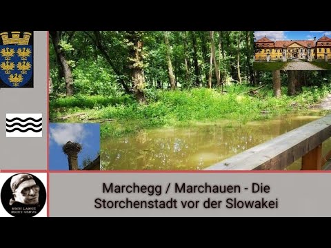 Marchegg - Marchauen - Die Storchenstadt vor der Slowakei