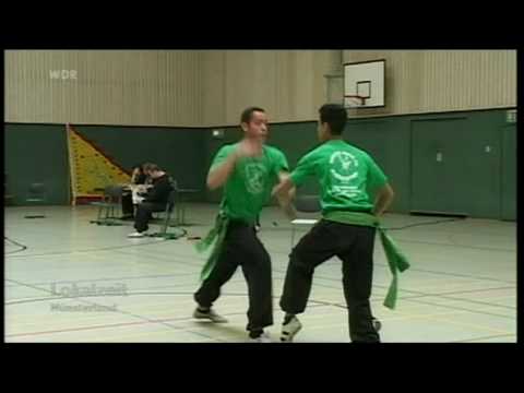 Seven Star Mantis Kung Fu