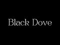 Black Dove | Teaser