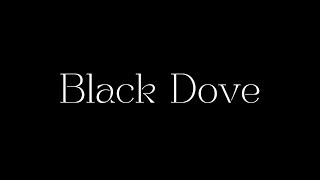 Black Dove | Teaser