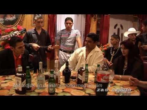 Aranyszemek 4 Zoli VIDEÓ OFFICIAL ZGSTUDIO