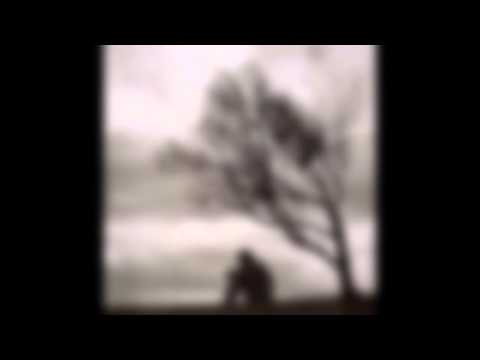 Skyplanet - Paralyzed Mind