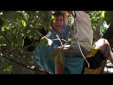 Voices of the Filipino - World Bank