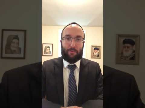 Killing Insects & Bugs on Shabbat - Rav Michael Khaimov 5780
