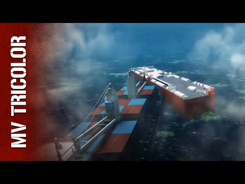 Waterline Stories and 2 more