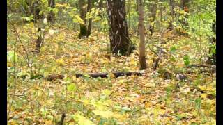 until death overtakes me marche funebre