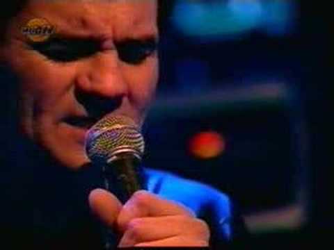 Las Pelotas - Abejas (en vivo Much Music)