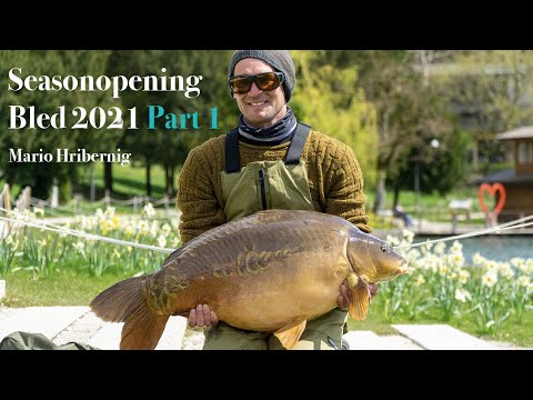 Bled Season Opening Folge 1 - Karpfenangeln am Lake Bled