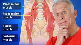 Stretch & Massage All 18 Hip Muscles in 3 minutes