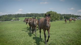 PA Breeders&#39; Bernie Houghton: You Either Live It or You Don&#39;t