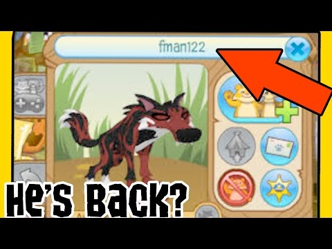 animal jam hackers 2015 animal jam hackers 2015