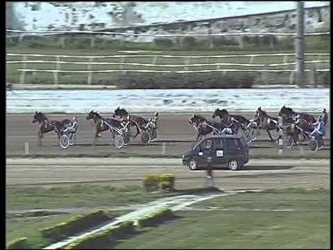 Trotto 02/04/2015 - 5° corsa