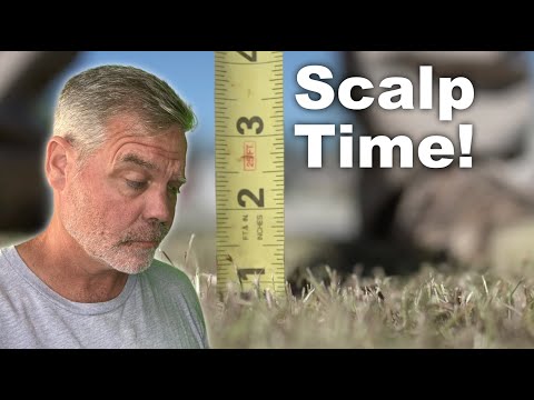 Don't Be Scared to Scalp :: Bermuda and Zoysia Spring Lawn Prep