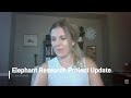 Elephant Research Update With Dr Kari Morfeld