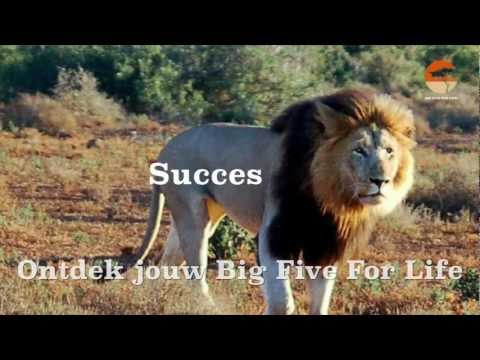 Big Five for Life Discovery Workshop