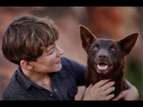 Red Dog: True Blue (UK Trailer)