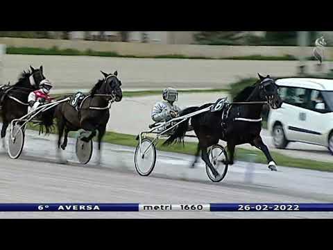 Aversa trotto 26 Febbraio 2022 - 6° Corsa