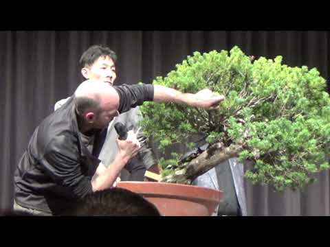 Bonsai Trophy 2020 in Genk - Demo1 - SAT 2020/02/29