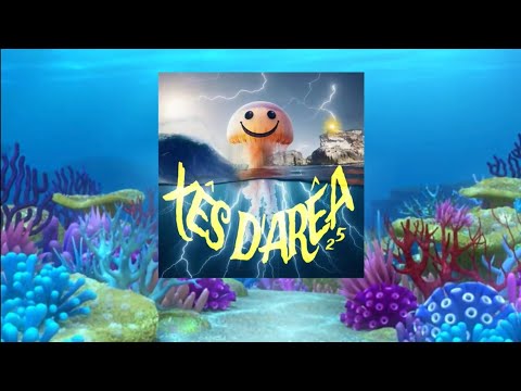 Xês D'arêa 2025 - Alferreca Lôca