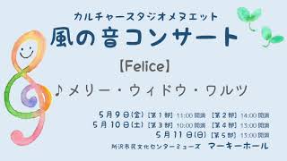 Download lagu Felice『メリー・ウィドウ・ワルツ』レハール作曲 mp3