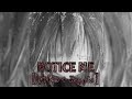 M1v X Kets4eki Notice Me Lyrics مترجمة